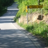 dos079.jpg